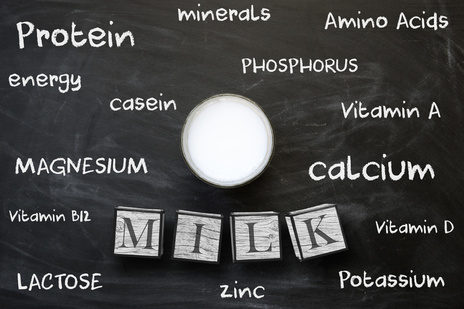 子どもに牛乳は必要か（２）～離乳期以降は牛乳を消化できない体に変わっていく？！～
