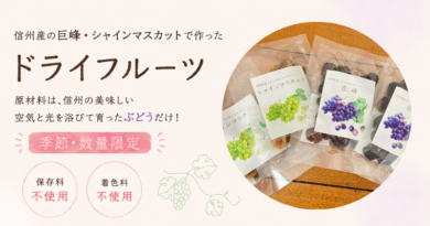 【数量・季節限定】ぶどうのドライフルーツの販売がスタート