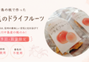 【数量・季節限定】桃のドライフルーツの販売がスタート