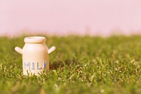 子どもに牛乳は必要か（１）～アメリカの消費量は減少傾向！！～