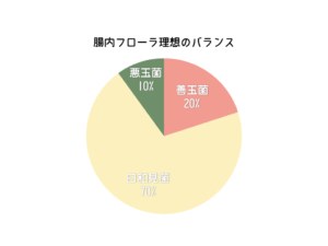 腸内フローラの理想のバランス