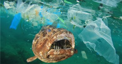 マイクロプラスチック問題と海洋汚染