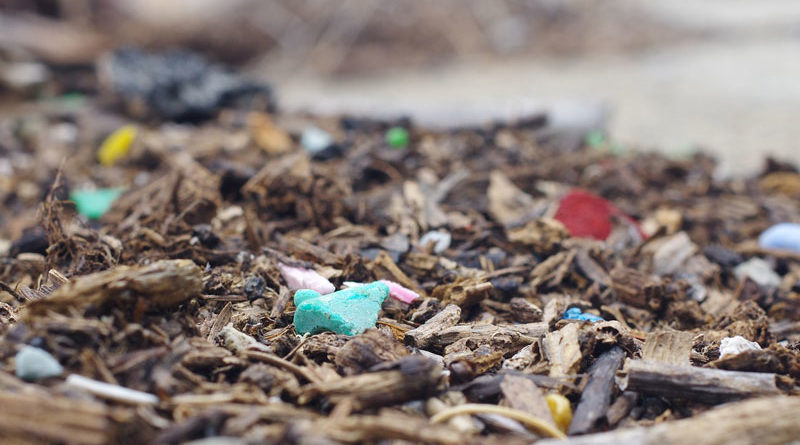 マイクロプラスチックの海への被害