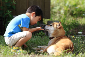 子どもが命と向き合う学校動物飼育とは