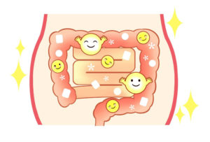 こぼれ梅（みりん粕）は腸内環境をコントロール