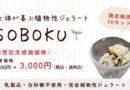 限定50セット！事前予約受付中！【心と体が喜ぶ植物性ジェラート SOBOKU】