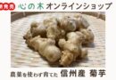 【心の木オンラインショップで販売中！】信州産菊芋（キクイモ）～栄養や食べ方をご紹介します～
