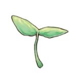 心の木の育て方(ヴィーガン子育て）